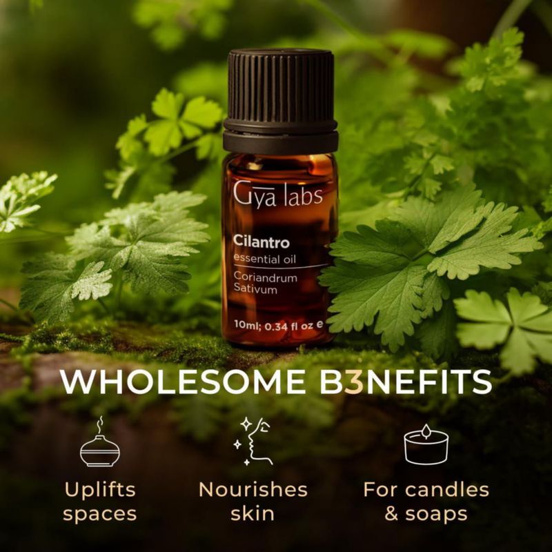 Aceite Esencial de Cilantro Gya Labs 10 ml para Aromaterapia