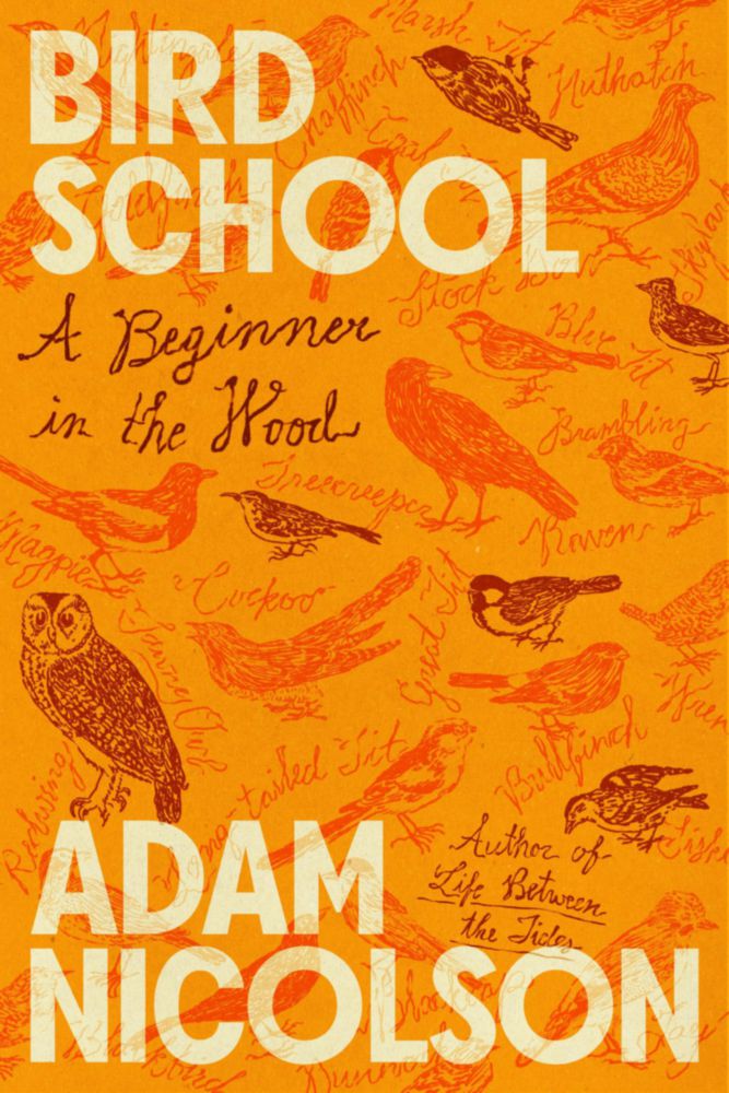 Libro Farrar Straus y Giroux – Escuela de Aves: Principiante en el Bosque