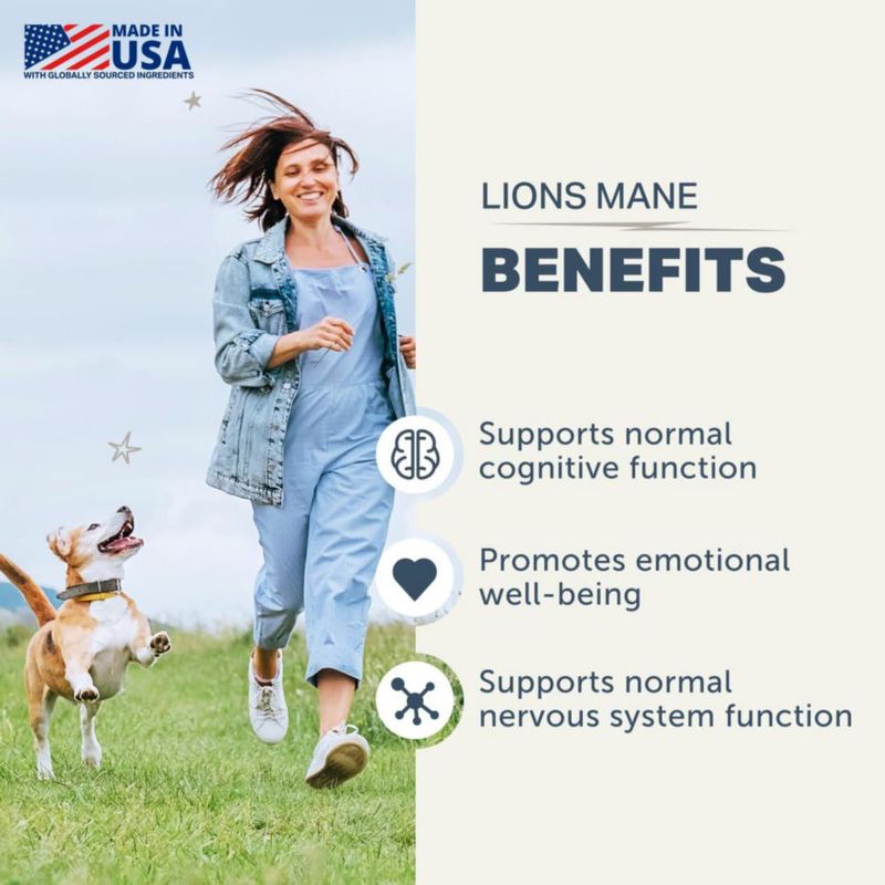 Suplemento Four Leaf Rover Lion's Mane para el cerebro de perros