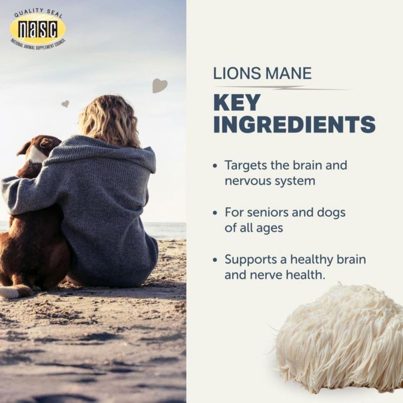 Suplemento Four Leaf Rover Lion's Mane para el cerebro de perros