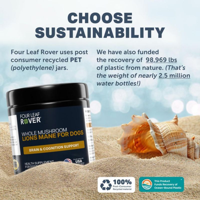 Suplemento Four Leaf Rover Lion's Mane para el cerebro de perros