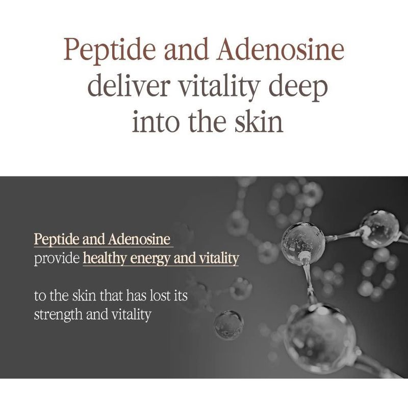 [Suero] Sérum potenciador de té negro Pyunkang Yul antienvejecimiento 45 ml
