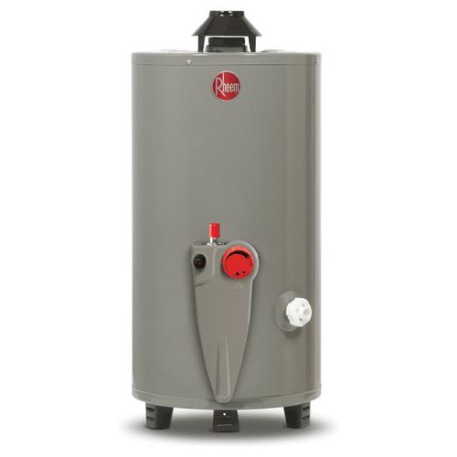 Calentador de Agua Depósito Rheem 402635 49 Lts Gas LP 1.5 Servicios