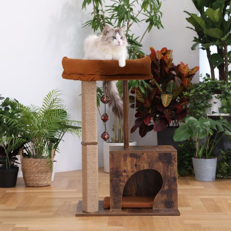 Rascador para Gatos FUKUMARU Árbol de Gato de Madera con Juguete