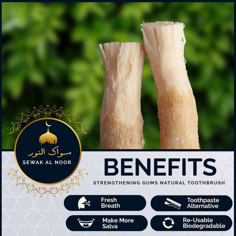 Palitos de miswak SEWAK AL NOOR paquete de 10 con soporte