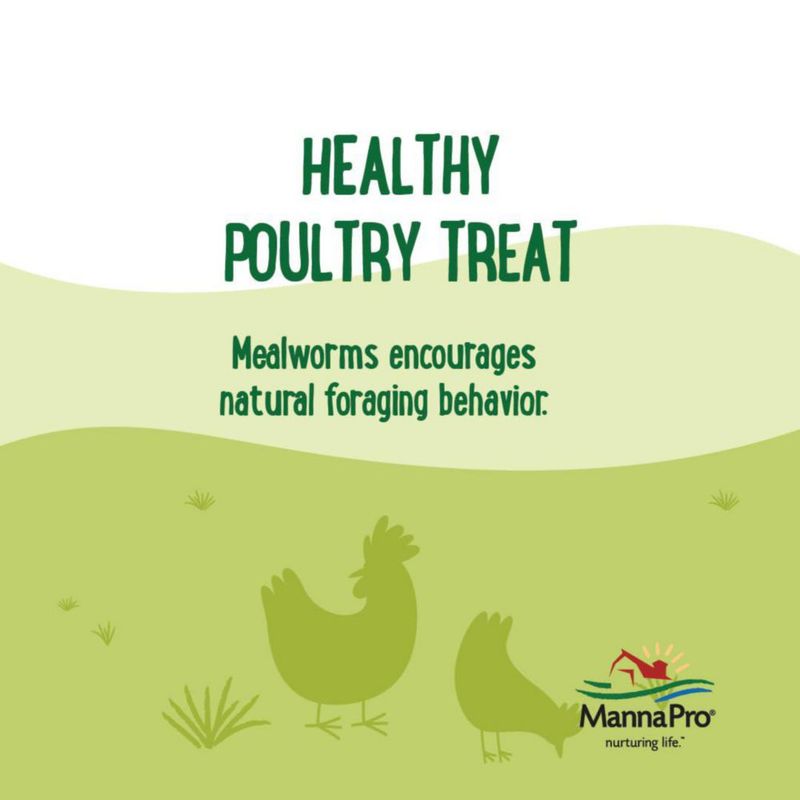 Alimento para aves de corral Manna Pro Mealworms 907 g 50 % proteína