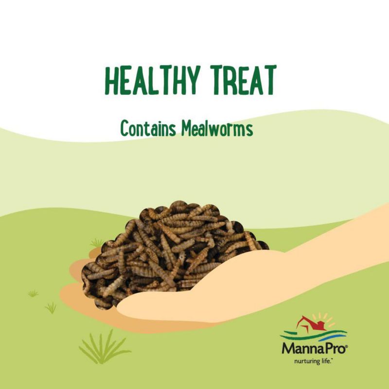 Alimento para aves de corral Manna Pro Mealworms 907 g 50 % proteína