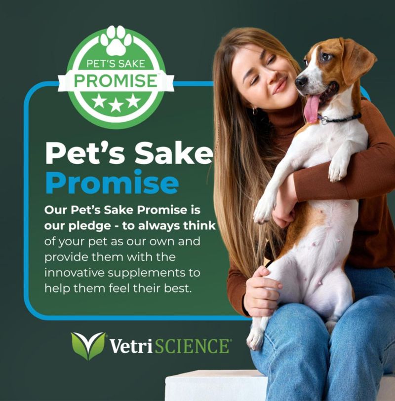 Suplemento para mascotas VETRISCIENCE DMG Inmunidad 50 unidades