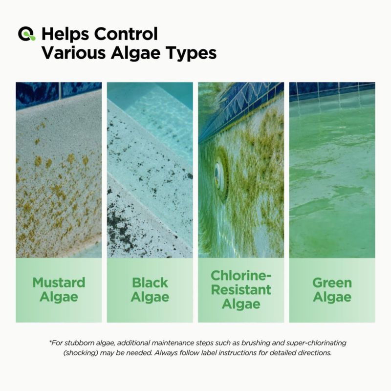 Algicida para Piscinas MAV AquaDoc 3785 ml Fórmula Sin Cobre