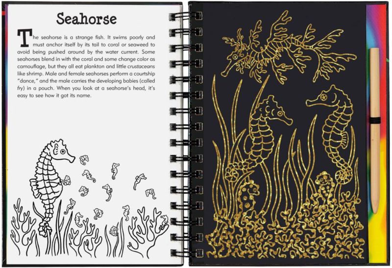 Kit de Arte PETER PAUPER PRESS Arrecifes de Coral para Raspar y Dibujar