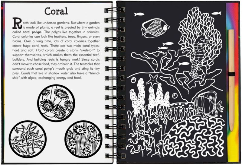 Kit de Arte PETER PAUPER PRESS Arrecifes de Coral para Raspar y Dibujar