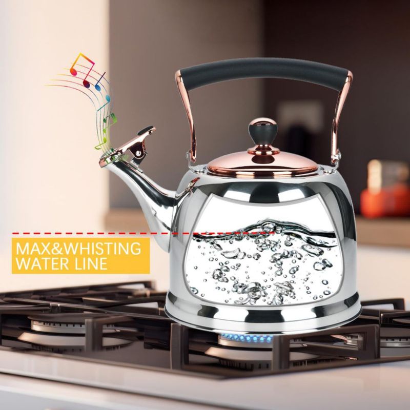 Hervidor de Agua Lazneyru de Acero Inoxidable 2.8L para Cocina