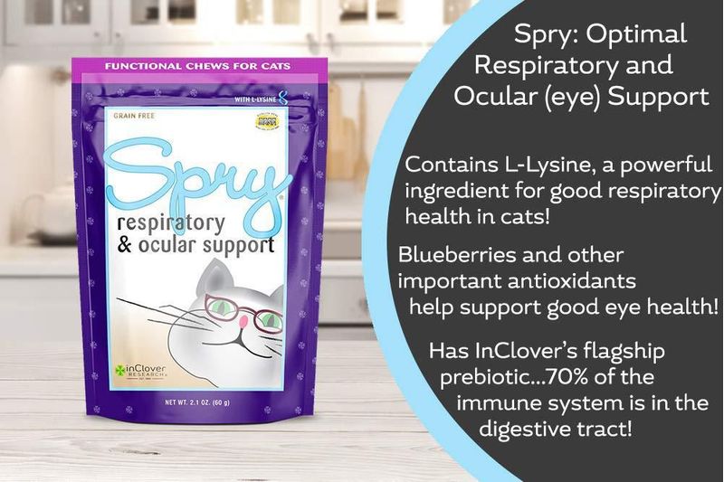 Golosinas para Gato In Clover L‑Lysine 300 g Salud Respiratoria y Ocular