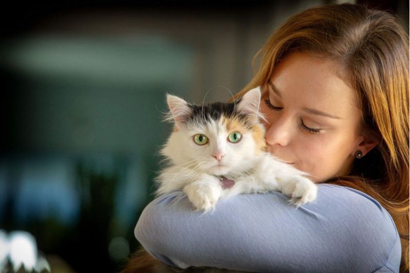Golosinas para Gato In Clover L‑Lysine 300 g Salud Respiratoria y Ocular