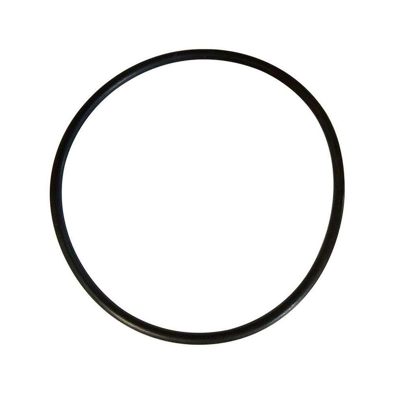 O-ring de repuesto Blue Square Abyss Canister 502004