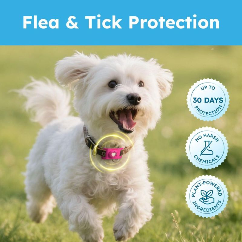 BugMD Paw Guardian Recarga 3 unidades 66 g