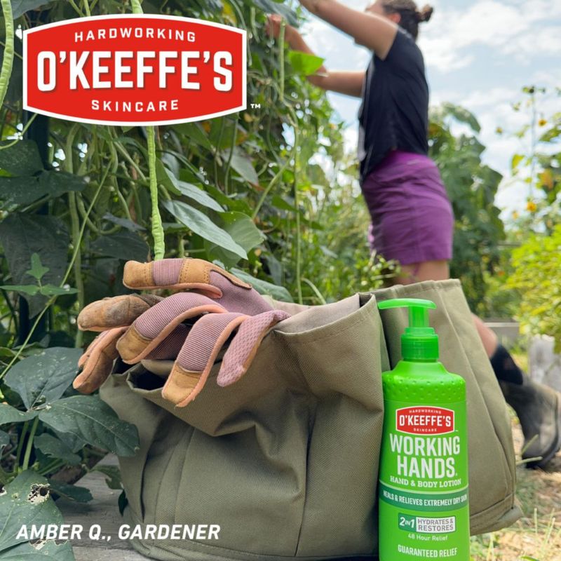 Loción O'Keeffe's Working Hands para manos y cuerpo 355 ml (paquete de 1)