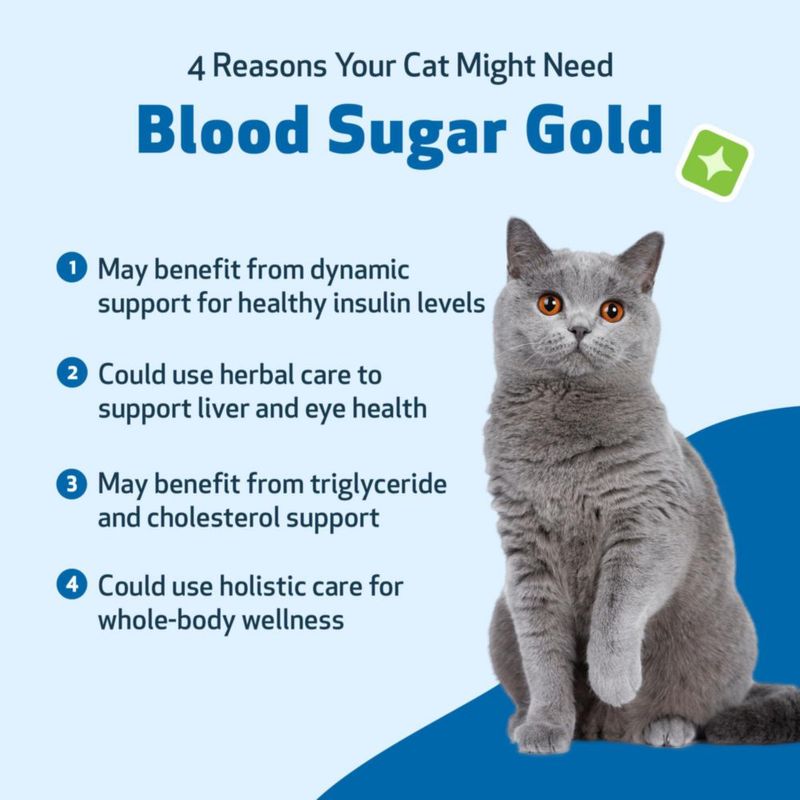 Suplemento para Gato Pet Wellbeing 59 ml Azúcar en Sangre Oro