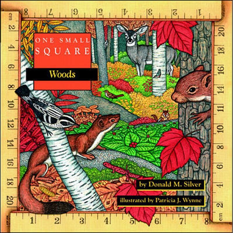 Libro McGraw-Hill Education One Small Square: Woods