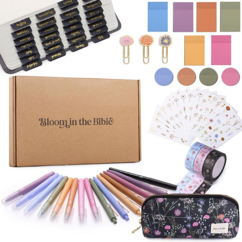Kit de journaling bíblico Mr. Pen con 8 resaltadores y 6 bolígrafos