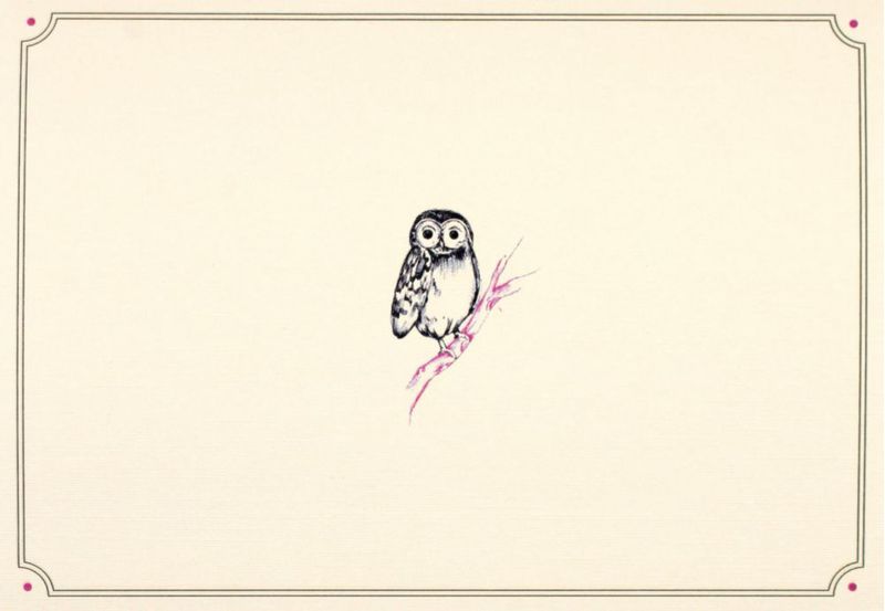 Tarjetas de notas PETER PAUPER PRESS 13 × 9 cm (14 unidades)