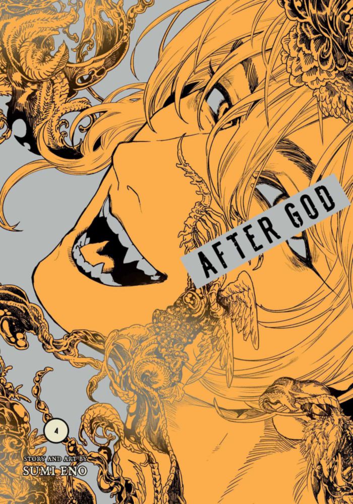 Libro Viz Media After God Vol. 4