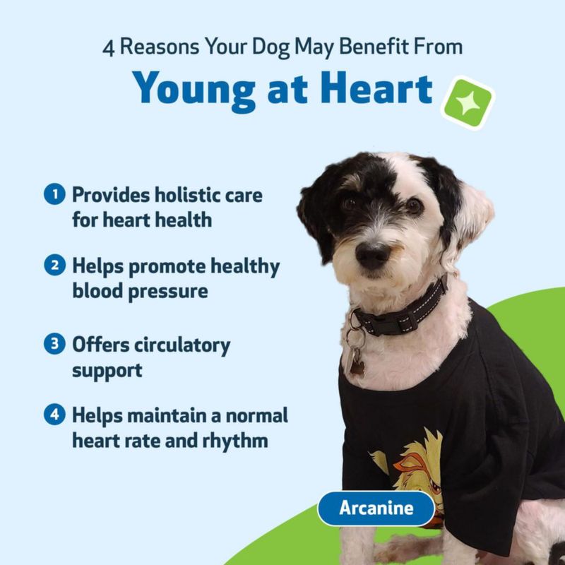 Pet Wellbeing Young at Heart 59 ml Líquido para Perros