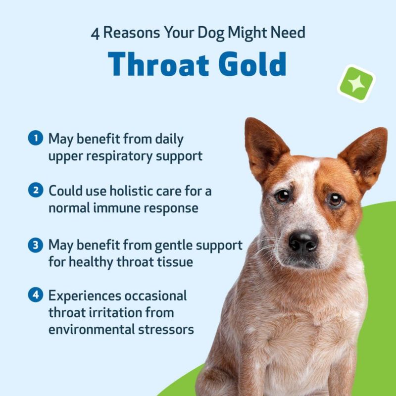 Pet Wellbeing Throat Gold para perros líquido herbal 118 ml