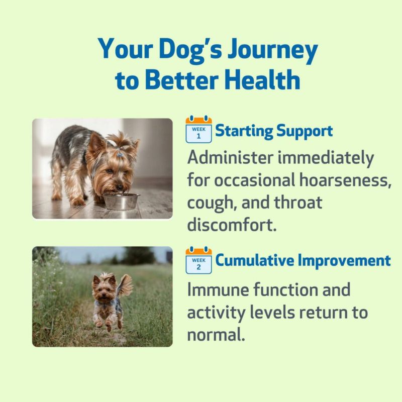 Pet Wellbeing Throat Gold para perros líquido herbal 118 ml