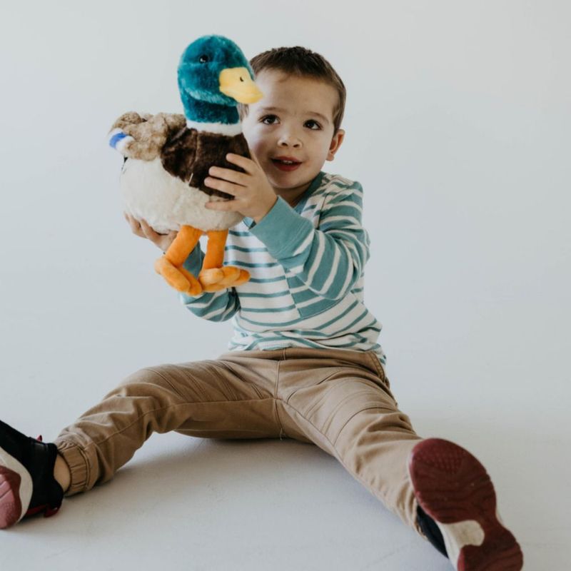 Peluche Pato 30 cm – The Petting Zoo