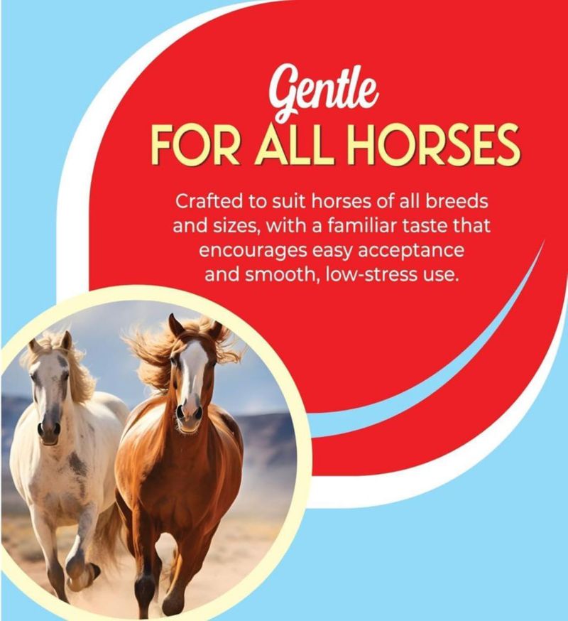 Pasta para Caballos OZIPCO Ivermectina 1.87% Sabor Manzana 6.08 g Paquete de 24