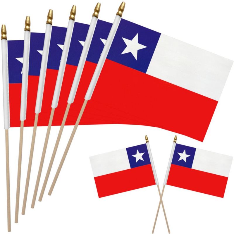 Banderines de Chile WEITBF Pack de 12 20×30 cm palo de 44 cm