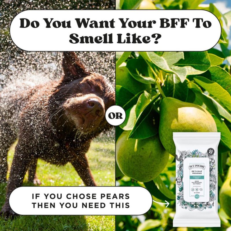Toallitas Desodorantes para Mascotas Poo-Pourri Pawsitively Fresh a Base de Plantas