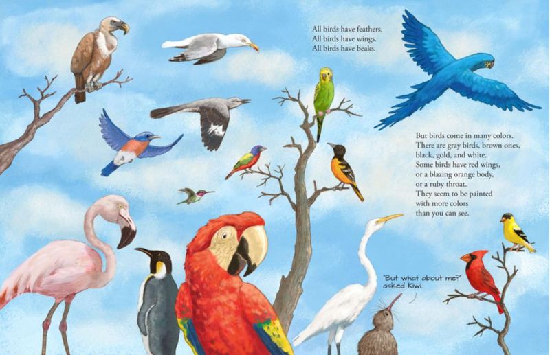Libro PETER PAUPER PRESS Todos los Pájaros del Mundo 22x29 cm