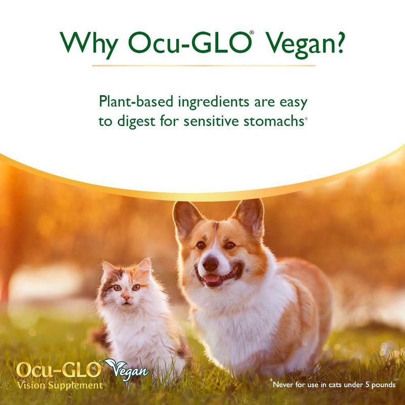 Suplemento Ocu-GLO Vegan Vision para perros y gatos adultos 90 cápsulas