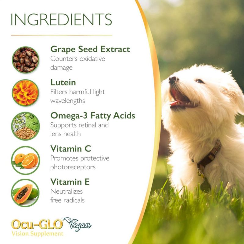 Suplemento Ocu-GLO Vegan Vision para perros y gatos adultos 90 cápsulas
