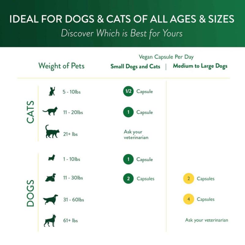 Suplemento Ocu-GLO Vegan Vision para perros y gatos adultos 90 cápsulas