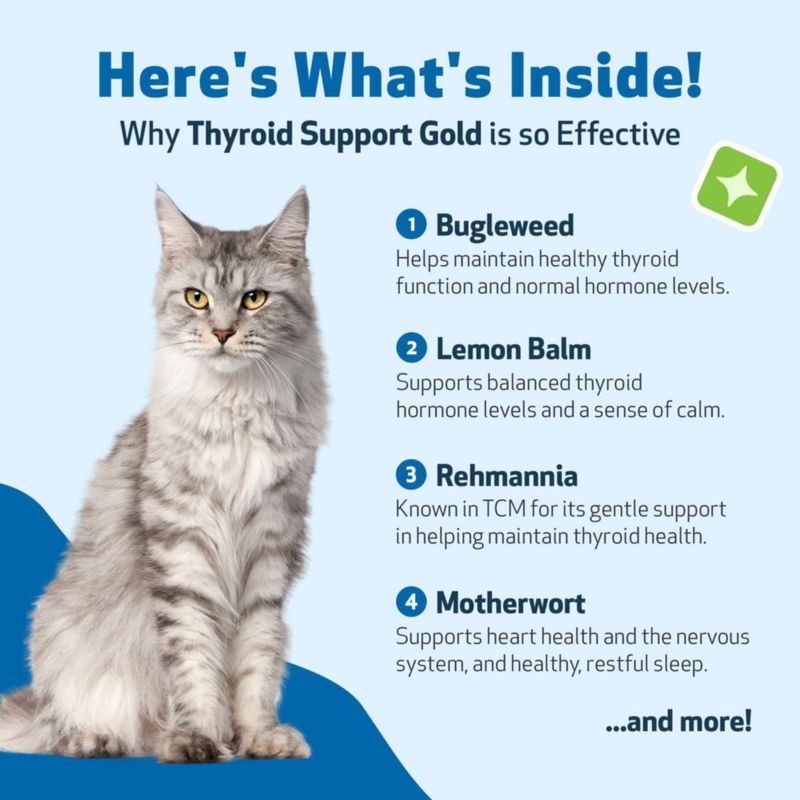 Pet Wellbeing Apoyo a la Tiroides Gold para Gatos 59 ml Líquido
