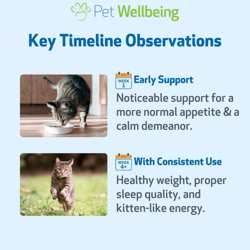 Pet Wellbeing Apoyo a la Tiroides Gold para Gatos 59 ml Líquido