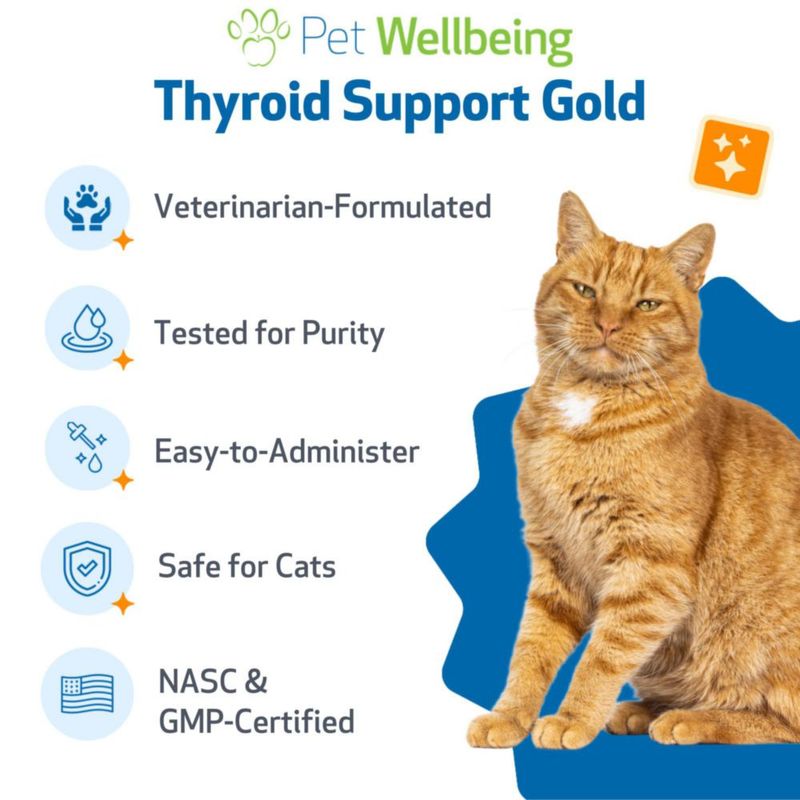 Pet Wellbeing Apoyo a la Tiroides Gold para Gatos 59 ml Líquido