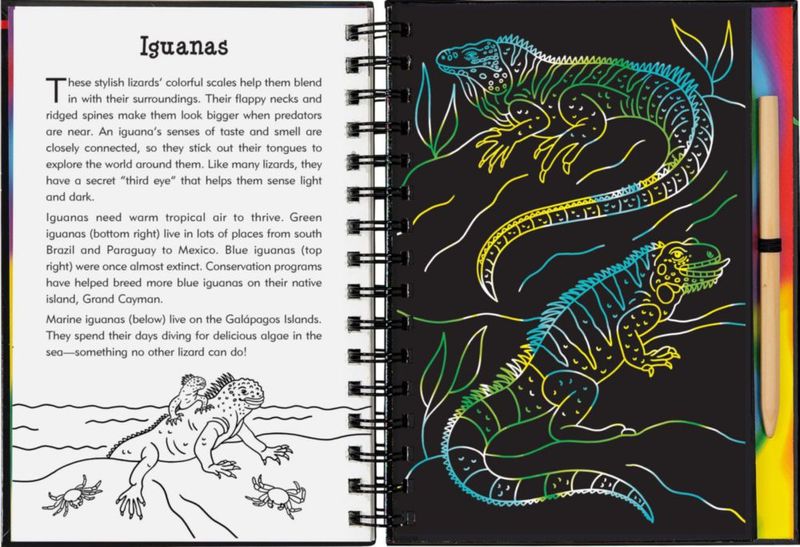 Libro PETER PAUPER PRESS Reptiles y Anfibios para Rascar y Dibujar