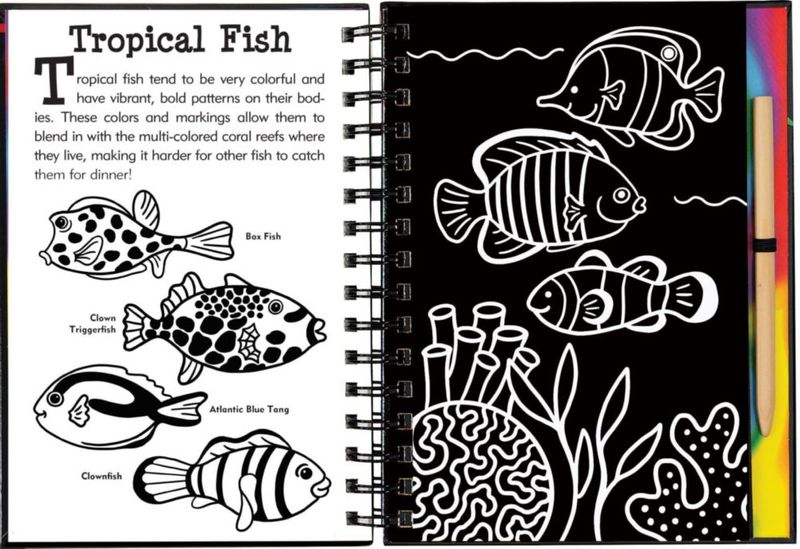 Libro PETER PAUPER PRESS Raspa y Dibuja Bajo el Mar