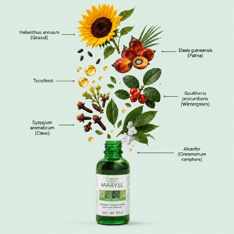Green Marvel Bálsamo Herbal Natural 4 Tarros de 250 Gramos + Booster Aceite Concentrado Natural Menthol
