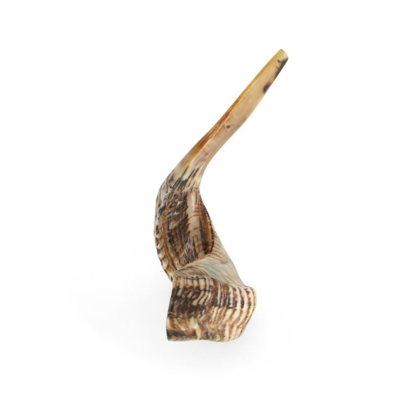 Shofar de carnero Yomtov Shalom 15‑17 cm Kosher Israel