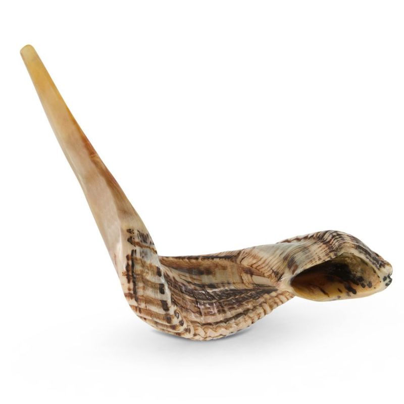 Shofar de carnero Yomtov Shalom 15‑17 cm Kosher Israel