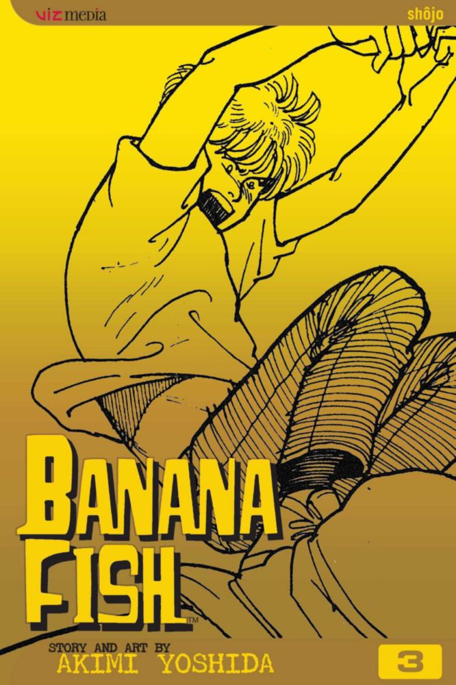 Libro Viz Media Banana Fish Vol. 3