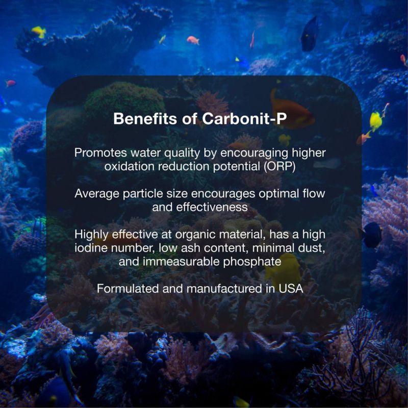 Carbón Activado Brightwell Aquatics 500 g