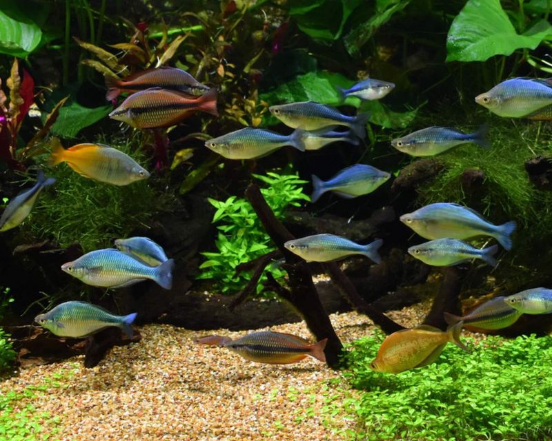 Matrix de biofiltración para acuarios Seachem 500 ml