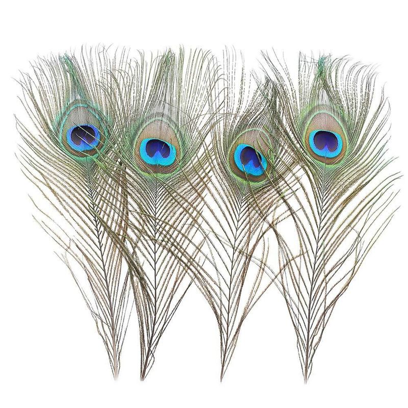 Plumas de Pavo Real Ballinger 25‑30 cm 24 uds Natural