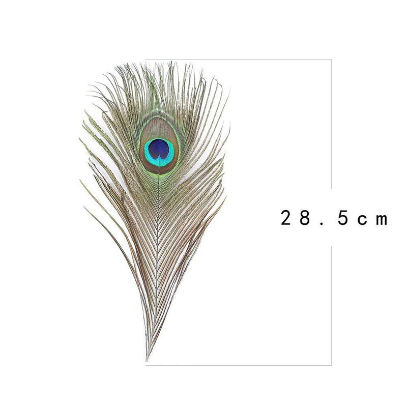 Plumas de Pavo Real Ballinger 25‑30 cm 24 uds Natural